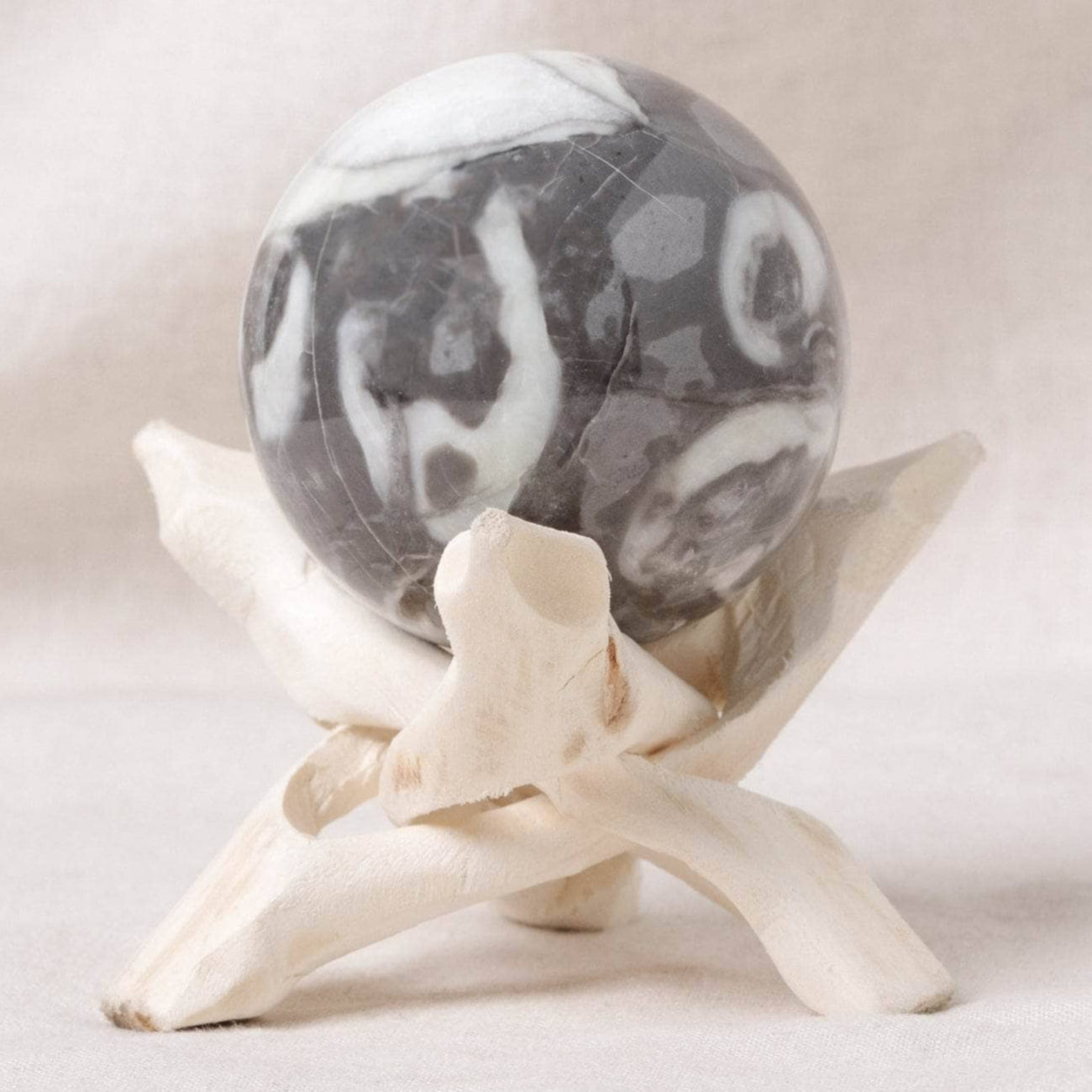 Shell Fossil Sphere with Tripod Shell Fossil Sphere with Tripod
