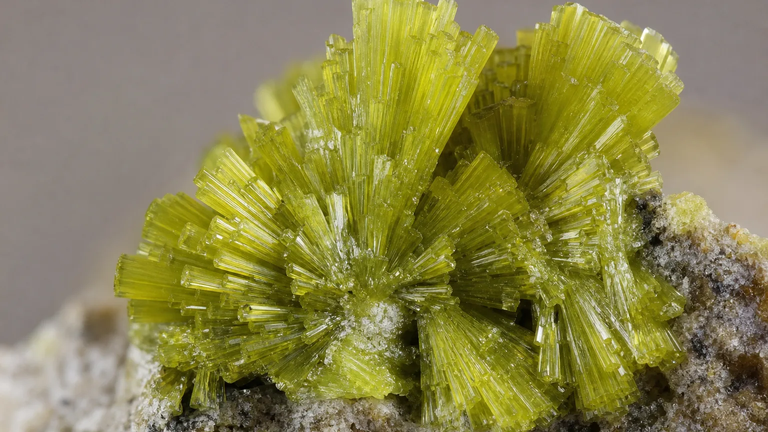 Yellow-green adamite radiating crystal cluster close-up