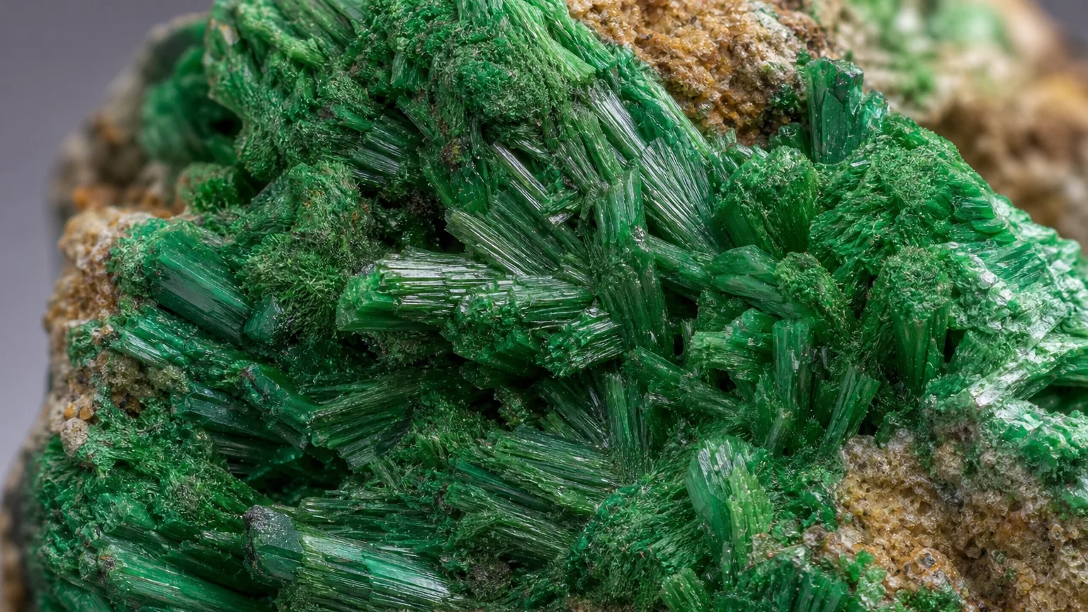 Arthurrite bright green copper iron arsenate close-up
