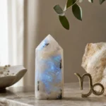 Capricorn June 2026 monthly horoscope with Moonstone as crystal of the month, zodiac symbol ♑