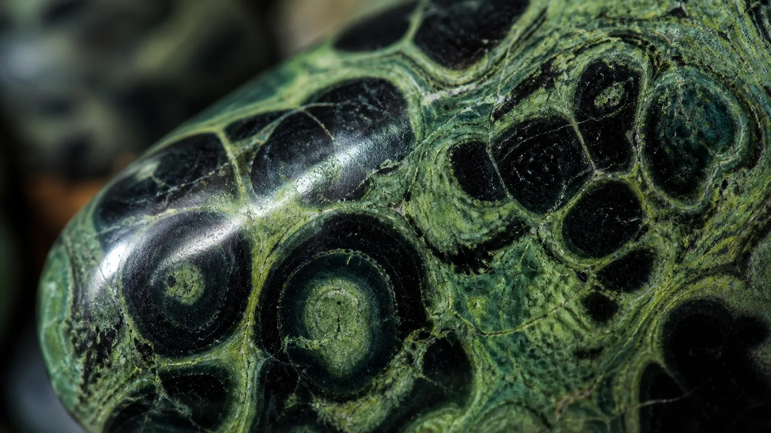 Kambaba jasper green and black crocodile pattern close-up