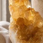 Leo December 2026 monthly horoscope with Citrine as crystal of the month, zodiac symbol ♌