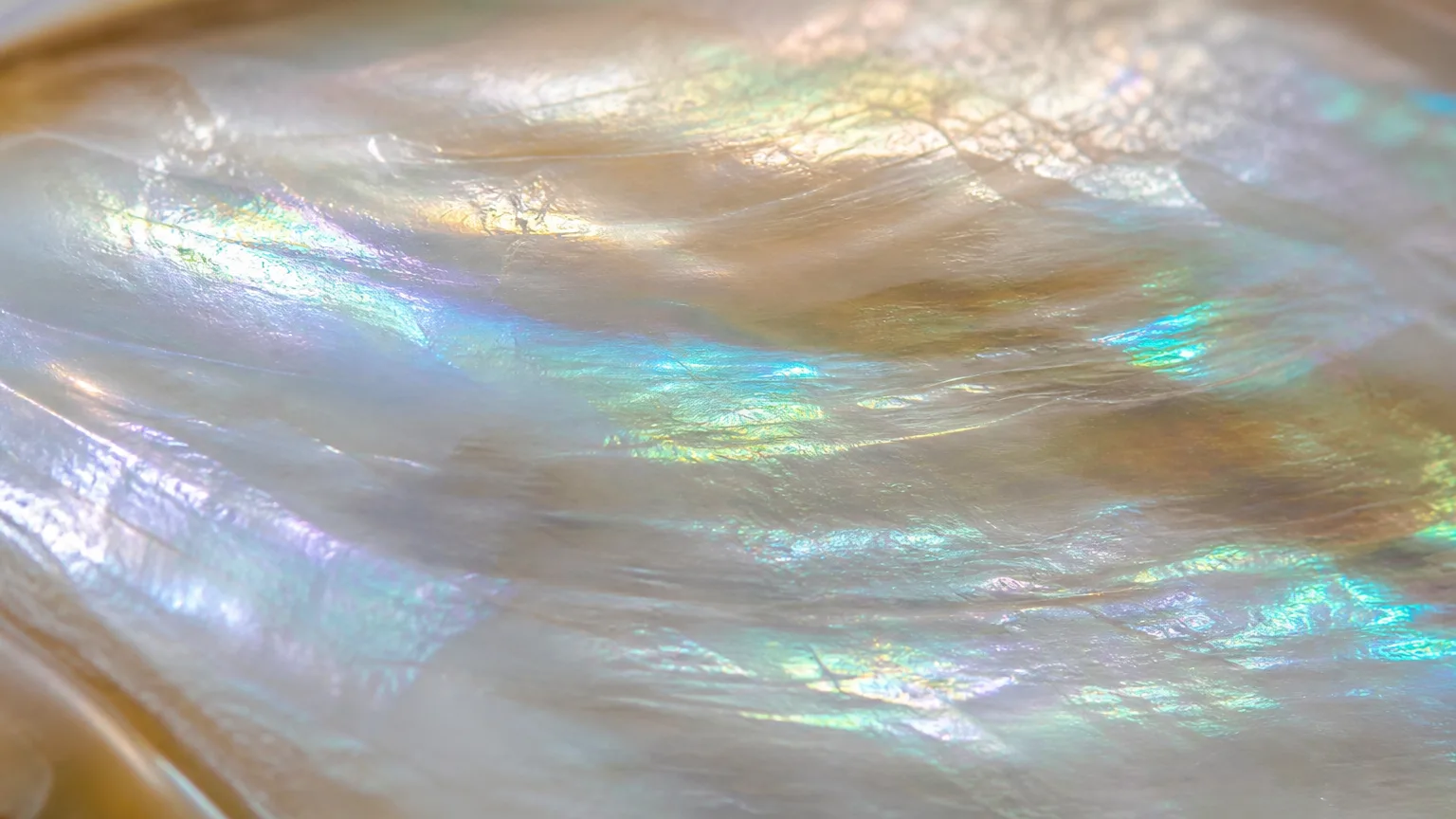 Iridescent nacre mother-of-pearl shimmer close-up